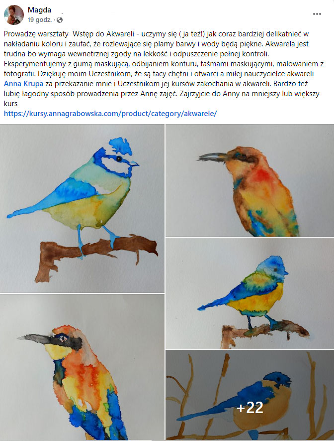 Kasia Mielczarek Ostrokrzew